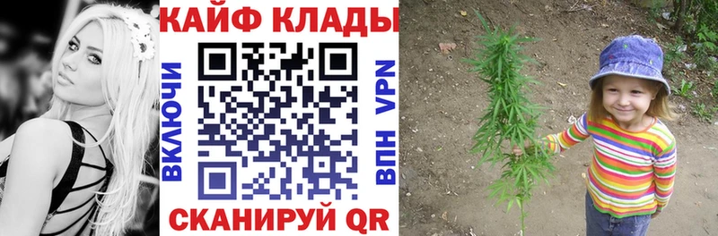 Где купить наркотики Пустошка Галлюциногенные грибы  ГАШИШ  Каннабис  Cocaine  Alpha PVP  АМФ 