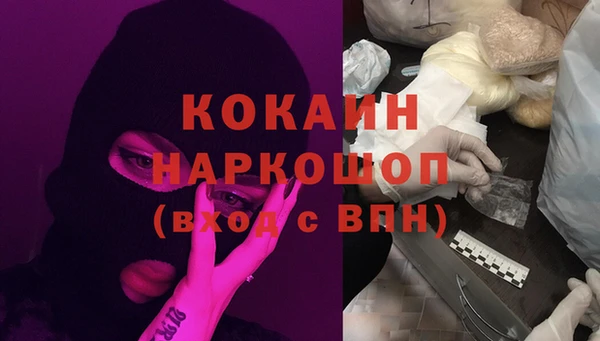 эйфоретик Аркадак
