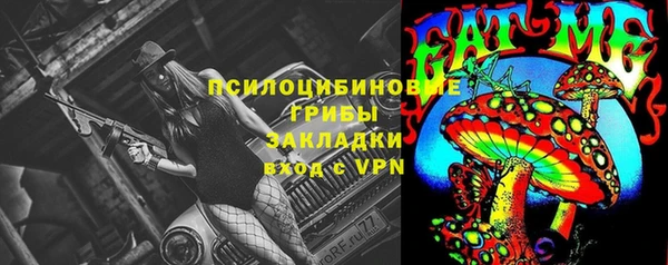 эйфоретик Аркадак
