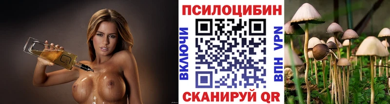 omg онион  Пустошка  Псилоцибиновые грибы прущие грибы 